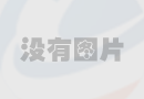 低氮燃燒器